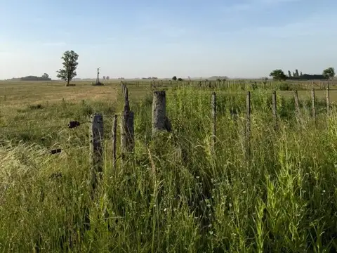 Campo en Venta de 1,40  ha