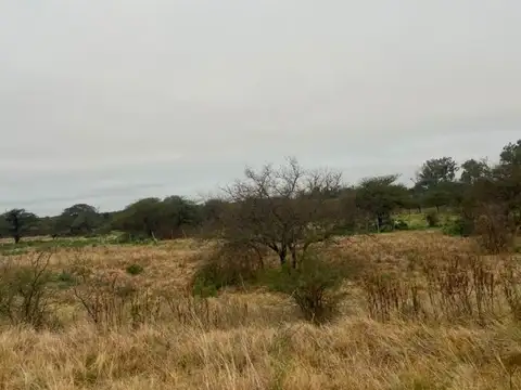 Campo en Venta de 13  ha