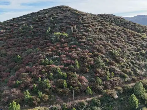 LA CUMBRE