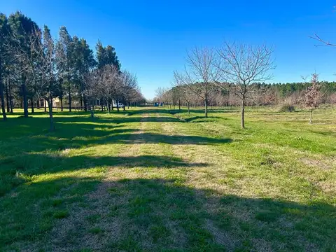 Avenida Doctor Marcos Paz