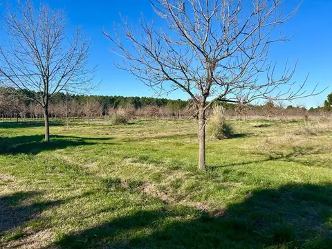 Terreno en Venta de 1000,0 m2