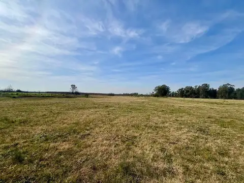 Avenida Doctor Marcos Paz