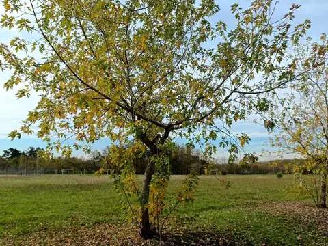 Terreno en Venta de 2000,0 m2