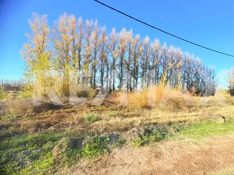 Terreno en Venta en Vista Alegre Norte, USD 12.500