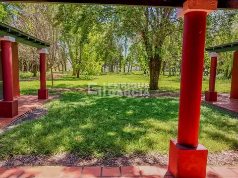 Campo en Venta Chacra