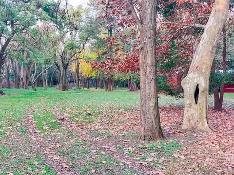 Campo en Venta Chacra