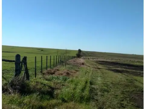 Terreno Campo  en Venta ubicado en Río Negro, Río Negro - TRA0014_LP308140_1