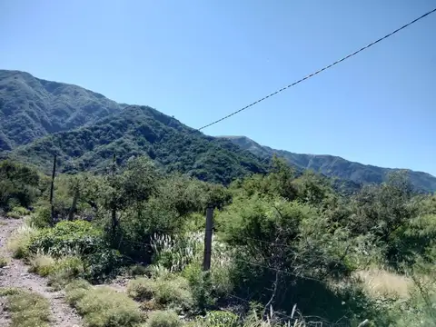 Terreno en Venta de 1090000,0 m2