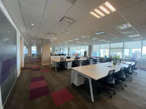 Oficina en Alquiler 8 años