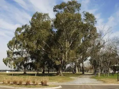 Terreno en Venta en Ezeiza, USD 73.000