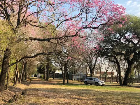 Oportunidad única: Propiedad arbolada de 14.000 m² sobre Ruta 11