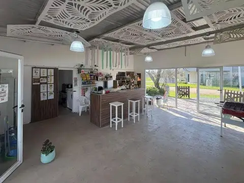 Campo 260 hectáreas | . | Oasis - San Vicente