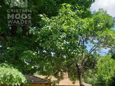 Villa Rosa