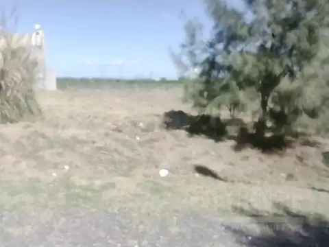 Terreno en Venta en Maximo Paz, USD 15.500