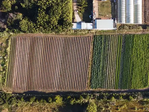 Terreno en Venta de 6796,0 m2