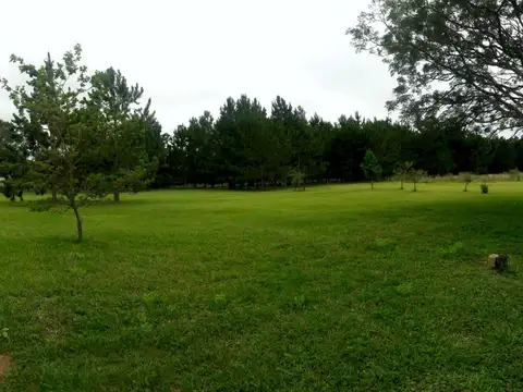 Quinta en Venta de 1 dormitorio