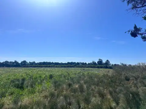 Camino Garcés 3800