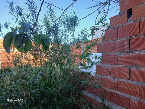 Saavedra 10100