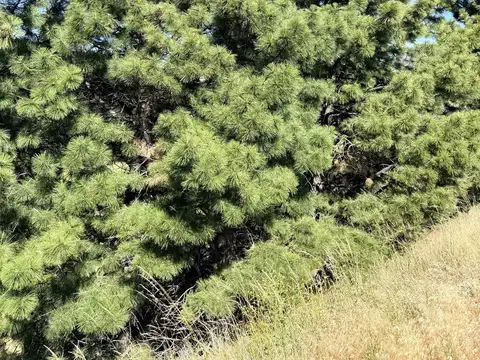 Terreno en Venta 53  mts Fondo