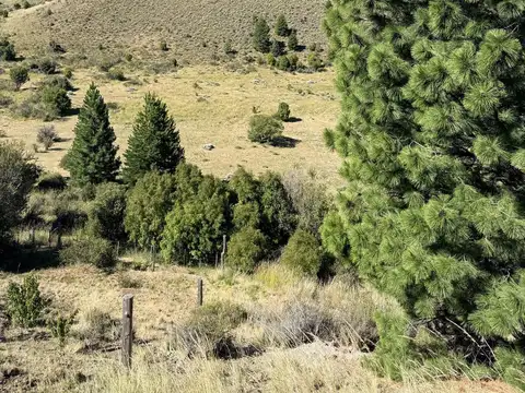 Terreno en Venta en Esquel, USD 42.000