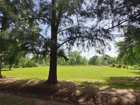 Terreno en Venta 92  mts Fondo
