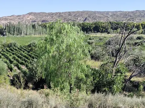 Terreno en Venta en Lunlunta, USD 320.000
