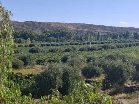 Terreno en Venta de 74660,0 m2