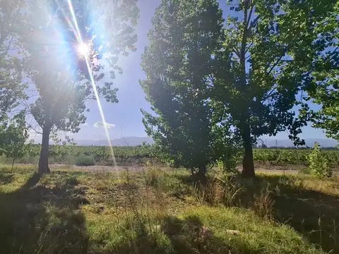 Terreno en Lunlunta