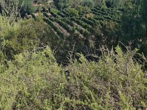Terreno en Lunlunta