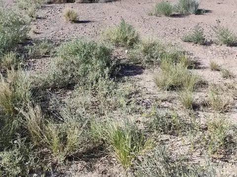 Terreno en Venta de 74660,0 m2