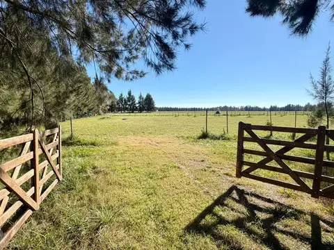 Oportunidad de inversion-Lote en VENTA O PERMUTA
