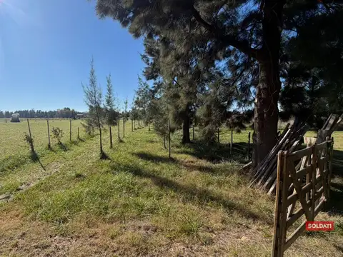 Oportunidad de inversion-Lote en VENTA O PERMUTA