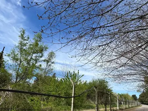 Venta casa en doble terreno de 2350m2 ! OPORTUNIDAD