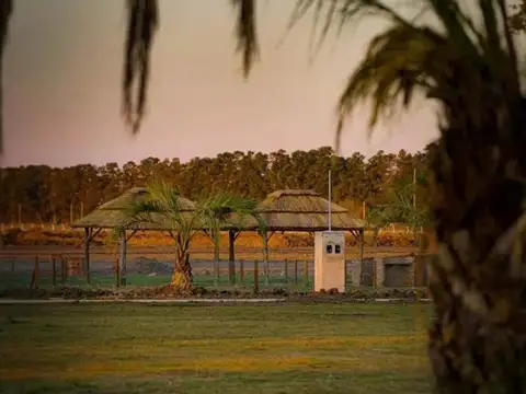 Terreno en Venta de 300,0 m2