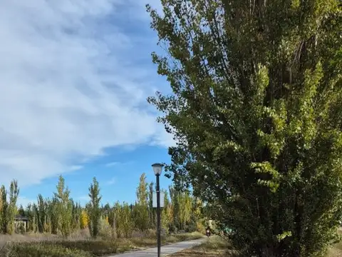 Terreno en Venta en Centenario, USD 80.000