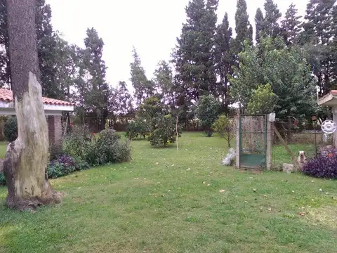 Campo en Ibarlucea