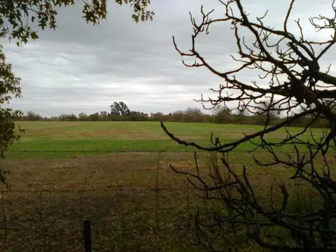 Campo en Ibarlucea