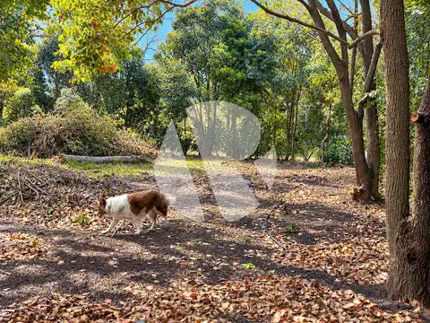 Terreno en Venta de 270,0 m2