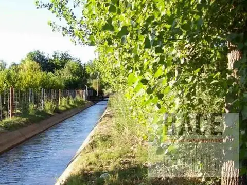 Terreno en Villa San Isidro