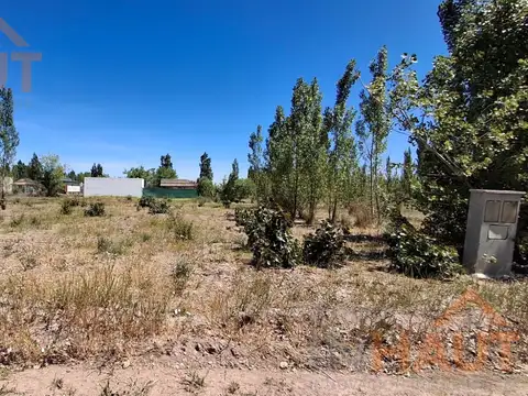 Alejandro Moretti al 800