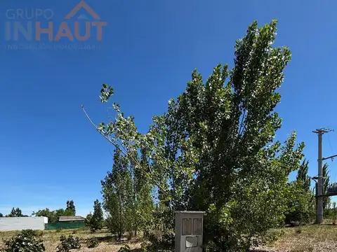 Terreno en Venta 50  mts Fondo