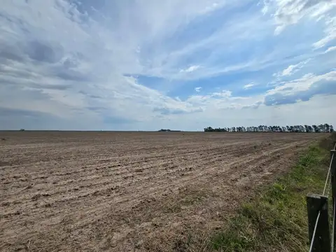 Se vende campo agrícola
