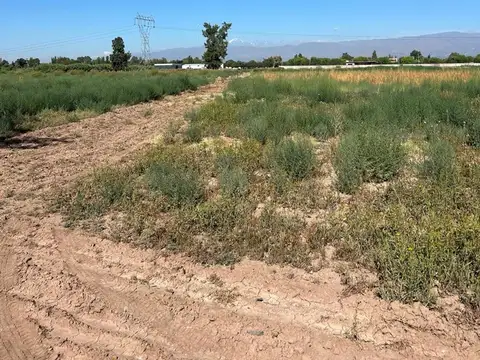 FINCA DE 7,5 HECTAREAS EN COLONIA SEGOVIA