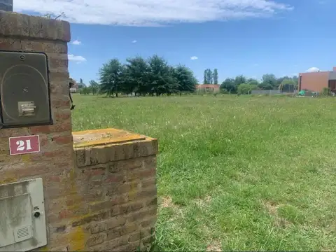 COMARCAS LA ELINA- UF 21