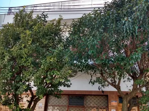 Alfredo Palacios 1300