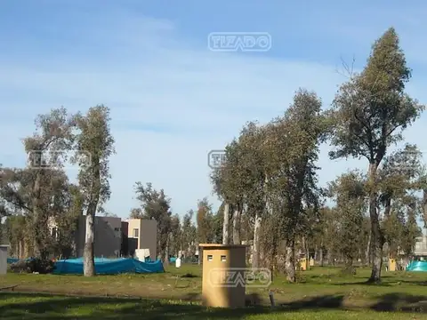 Alvarez del Bosque 9100