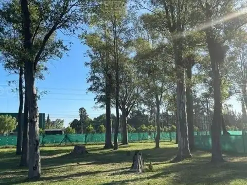 Terreno Lote  en Venta en Álvarez del Bosque, Francisco Álvarez, Moreno