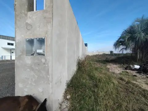 Gapol a estrenar+ Depo