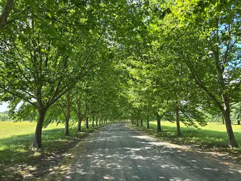 Terreno en Venta en Maximo Paz, USD 30.000