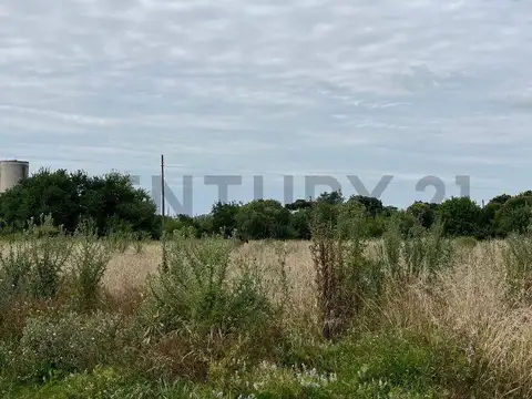 Lote de 694m² en Venta en Villa Elisa, La Plata
